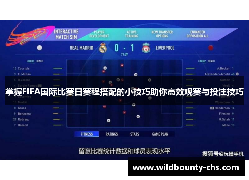 掌握FIFA国际比赛日赛程搭配的小技巧助你高效观赛与投注技巧 掌握FIFA国际比赛日赛程搭配的小技巧助你高效观赛与投注技巧