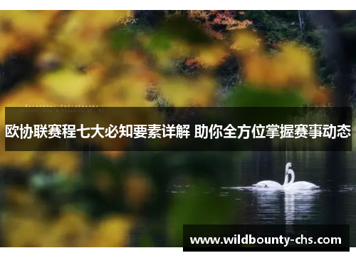 欧协联赛程七大必知要素详解 助你全方位掌握赛事动态