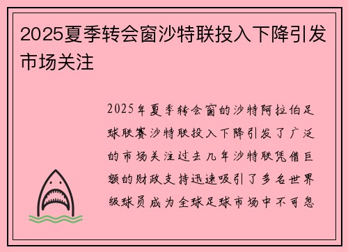 2025夏季转会窗沙特联投入下降引发市场关注 2025夏季转会窗沙特联投入下降引发市场关注