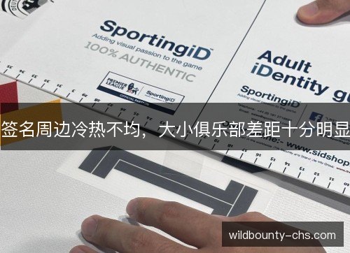 签名周边冷热不均,大小俱乐部差距十分明显 签名周边冷热不均,大小俱乐部差距十分明显